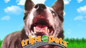 emma-lou with trips with pets logo