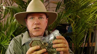 neil dandy holding a plastic-wrapped velociraptor from the ravenous raptors game