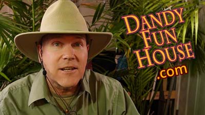 neil dandy wearing jungle explorer outfit in front of foliage next to dandy fun house logo