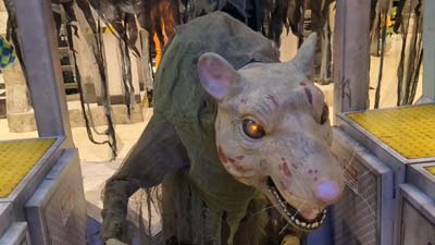 giant rat inside of a haunted subway car