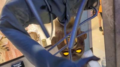 conductor of subway car hanging upside down being electrocuted inside of the subway car