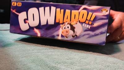 closeup of cownado game box side