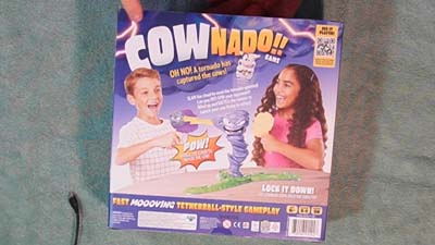 closeup of cownado game box back